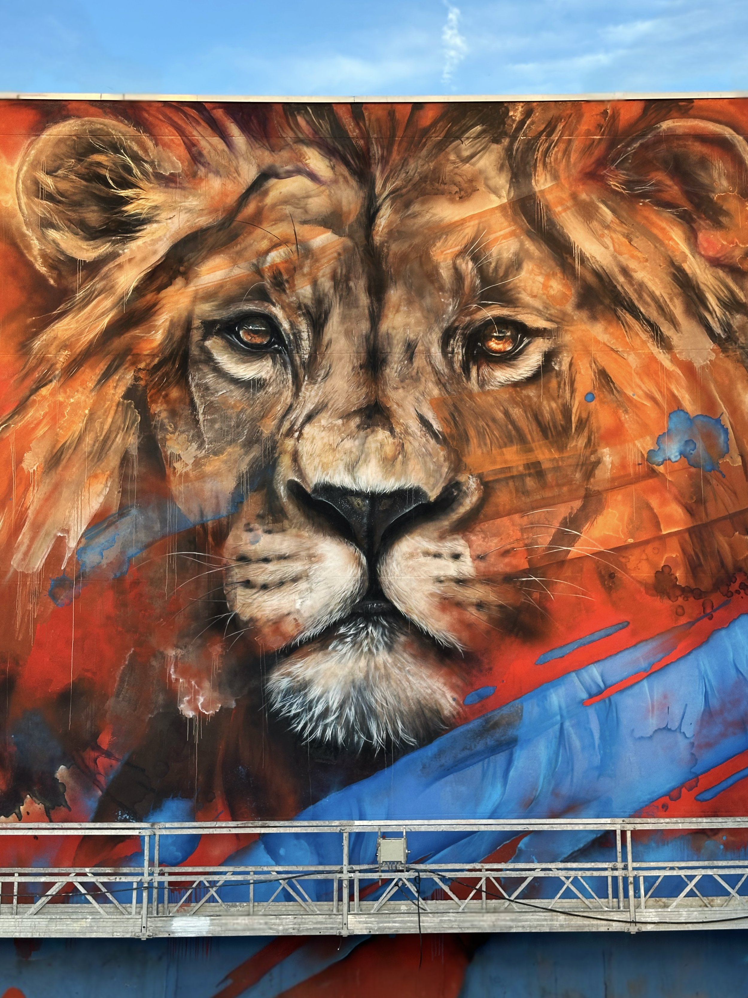 B9FEE1A0-C1CE-43AE-92A0-7BBC1D219060 2.jpg