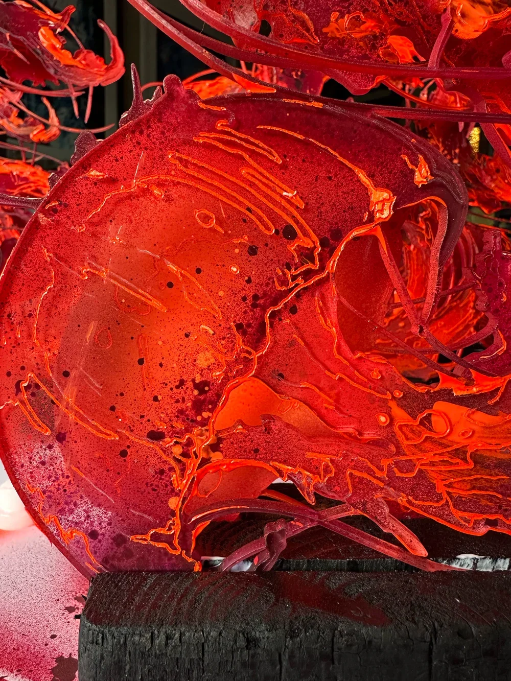 natural-instinct-edition-of-10 (2).webp