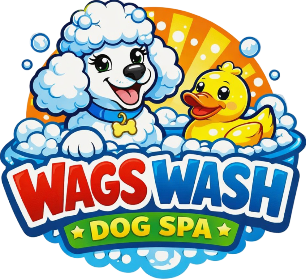 Wags Wash Logo, a small dog and rubber duckie.