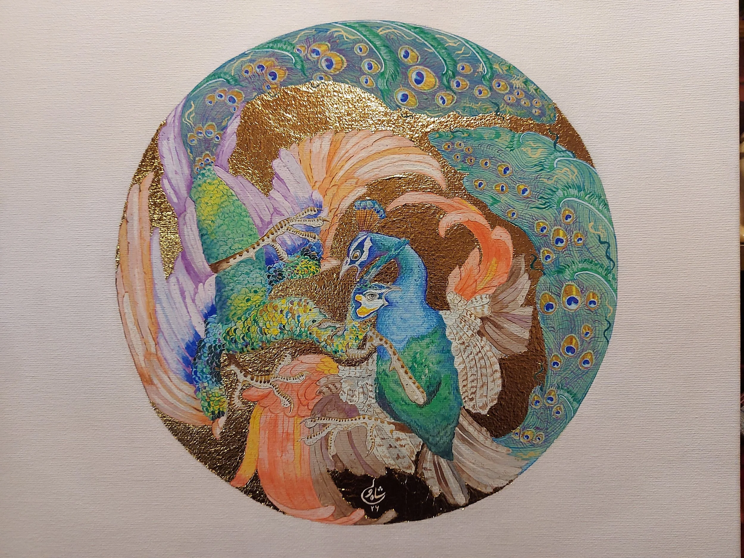 Duelling Peacocks, 2026