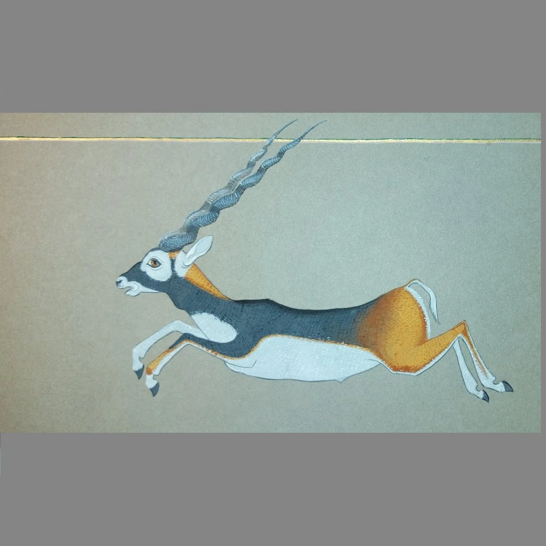 MyImage-1776418247-04 (1).jpg