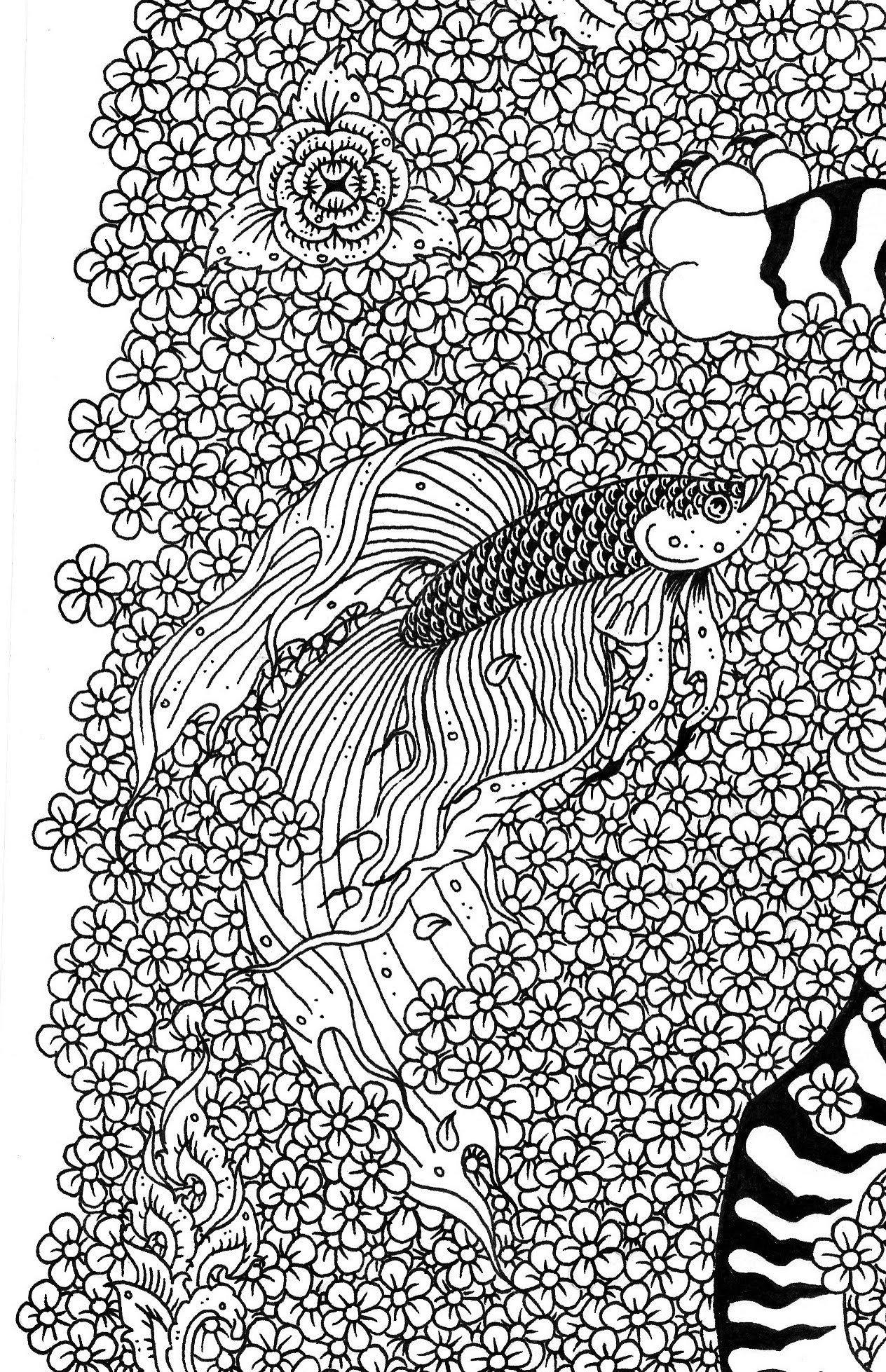 Photos from old computer 2257.jpg