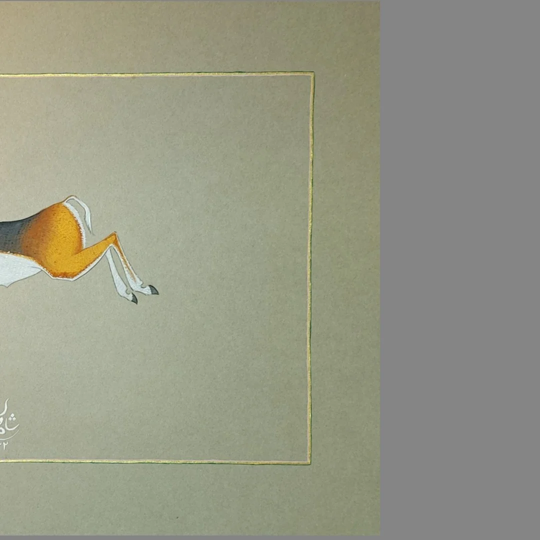 MyImage-1776419155-02 (1).jpg