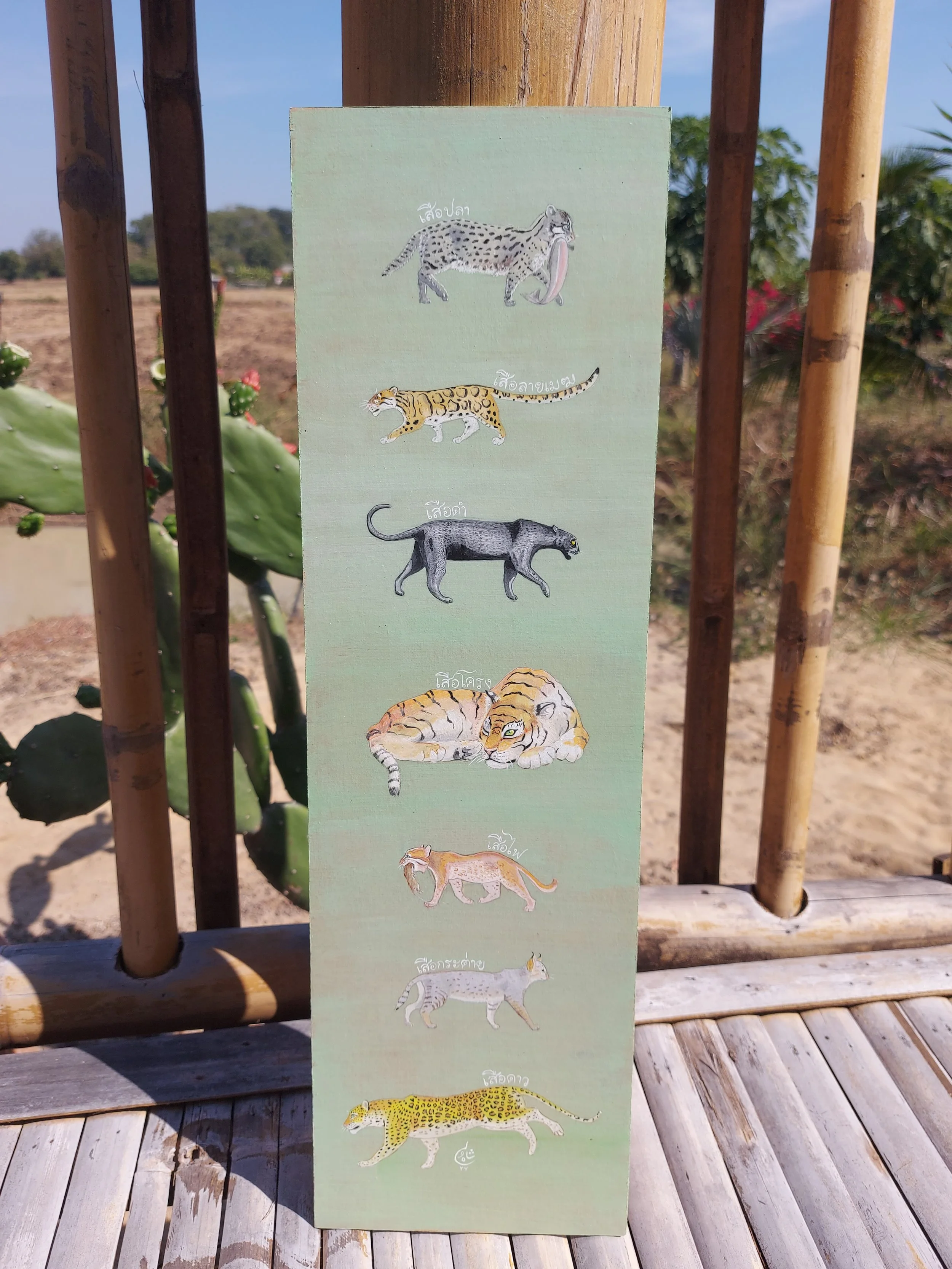 The Seven Tigers of Thailand, 2026 **SOLD**