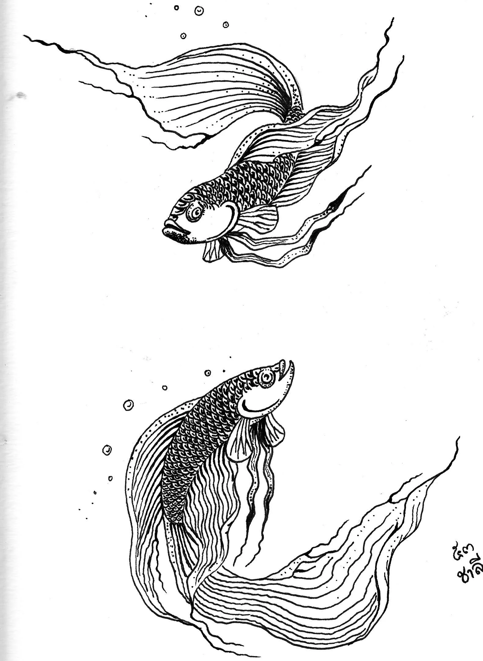 Photos from old computer 2242.jpg