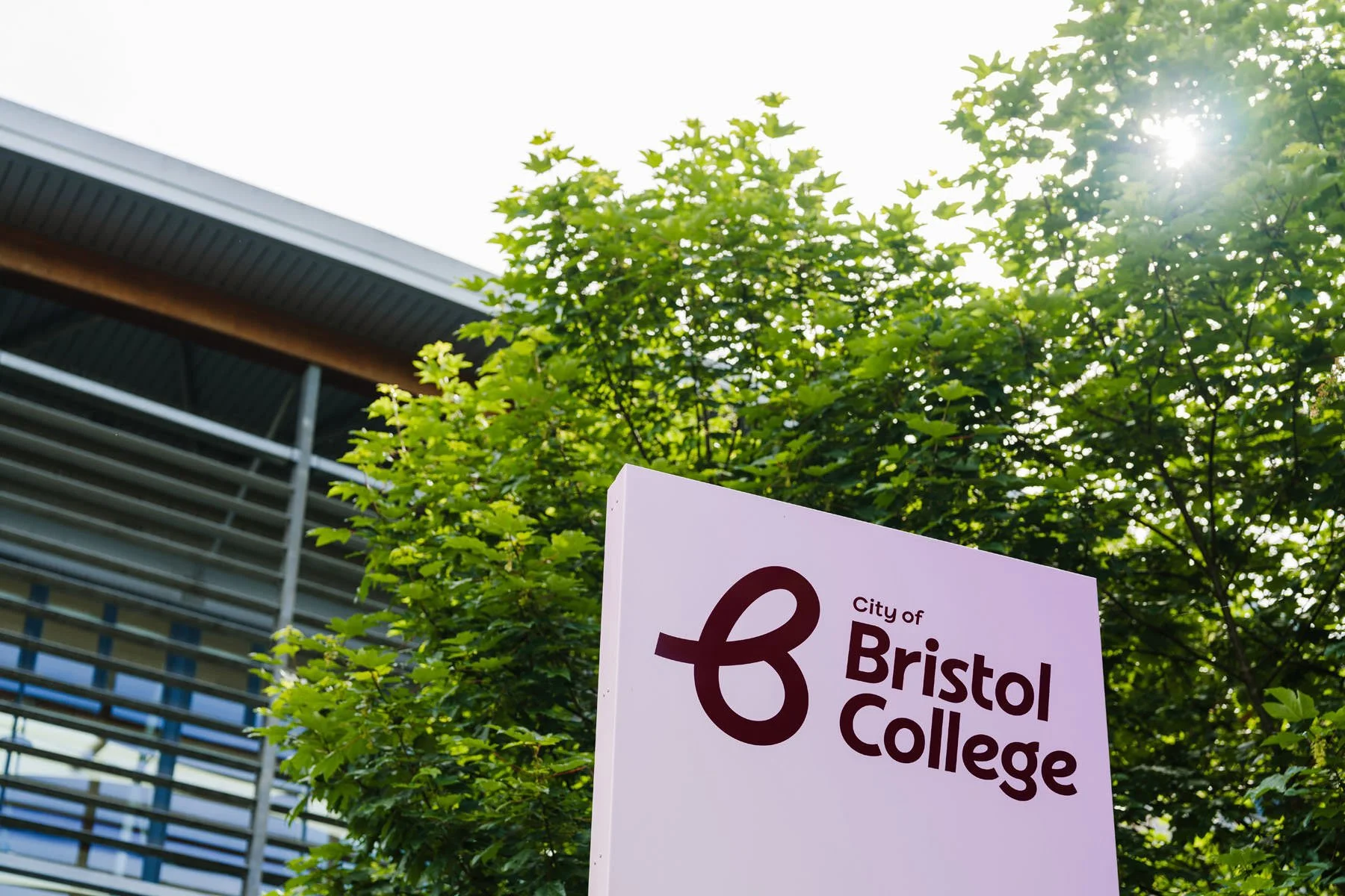 Bristol College sign with the college logo, trees, and a building in the background, sunlight shining through the leaves.