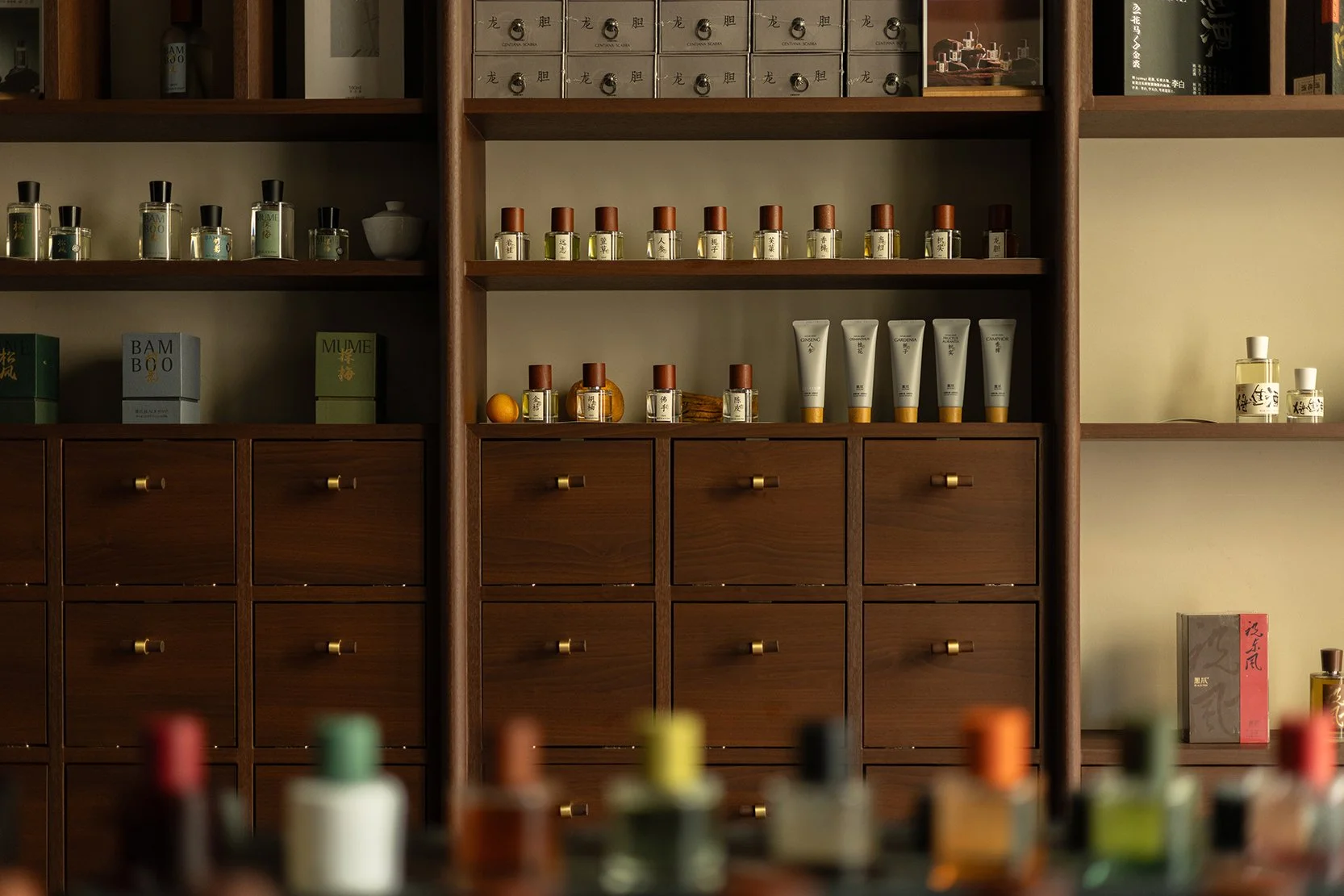 Black Paw SH - Neutra Architects 17.jpg