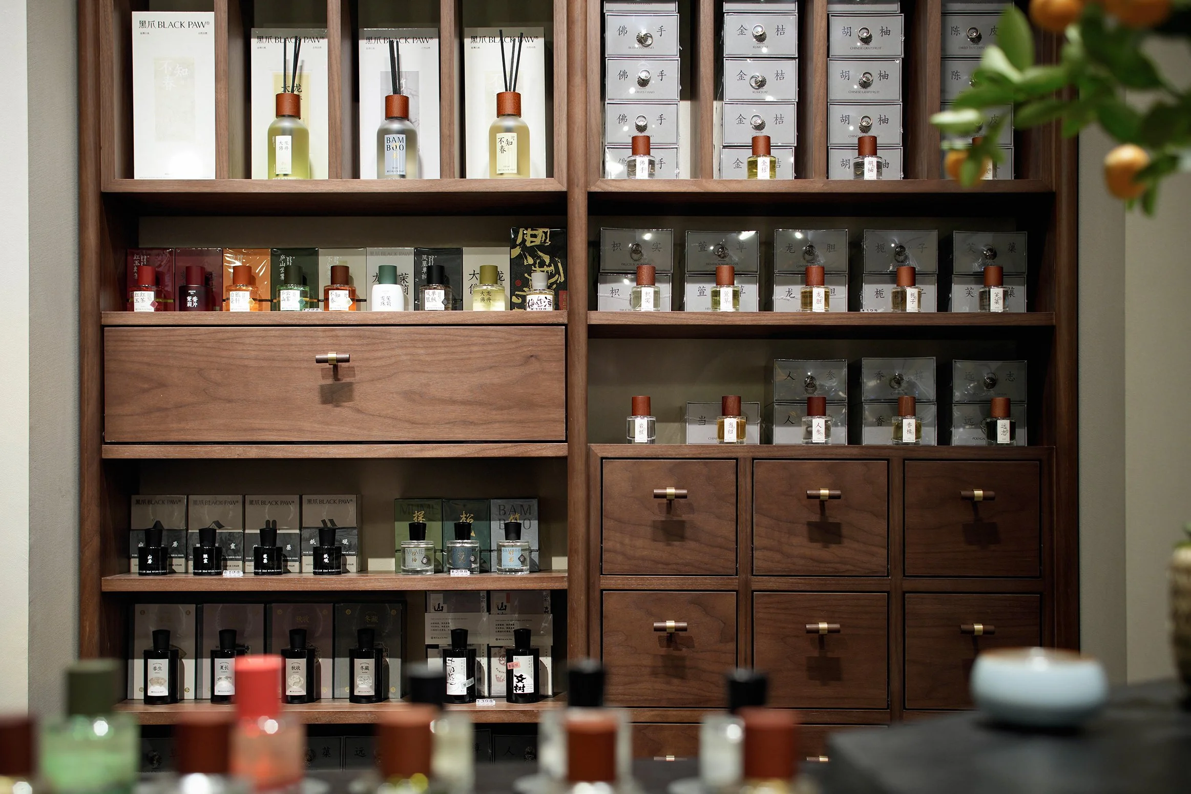 Black Paw SZ - Neutra Architects 10.jpg