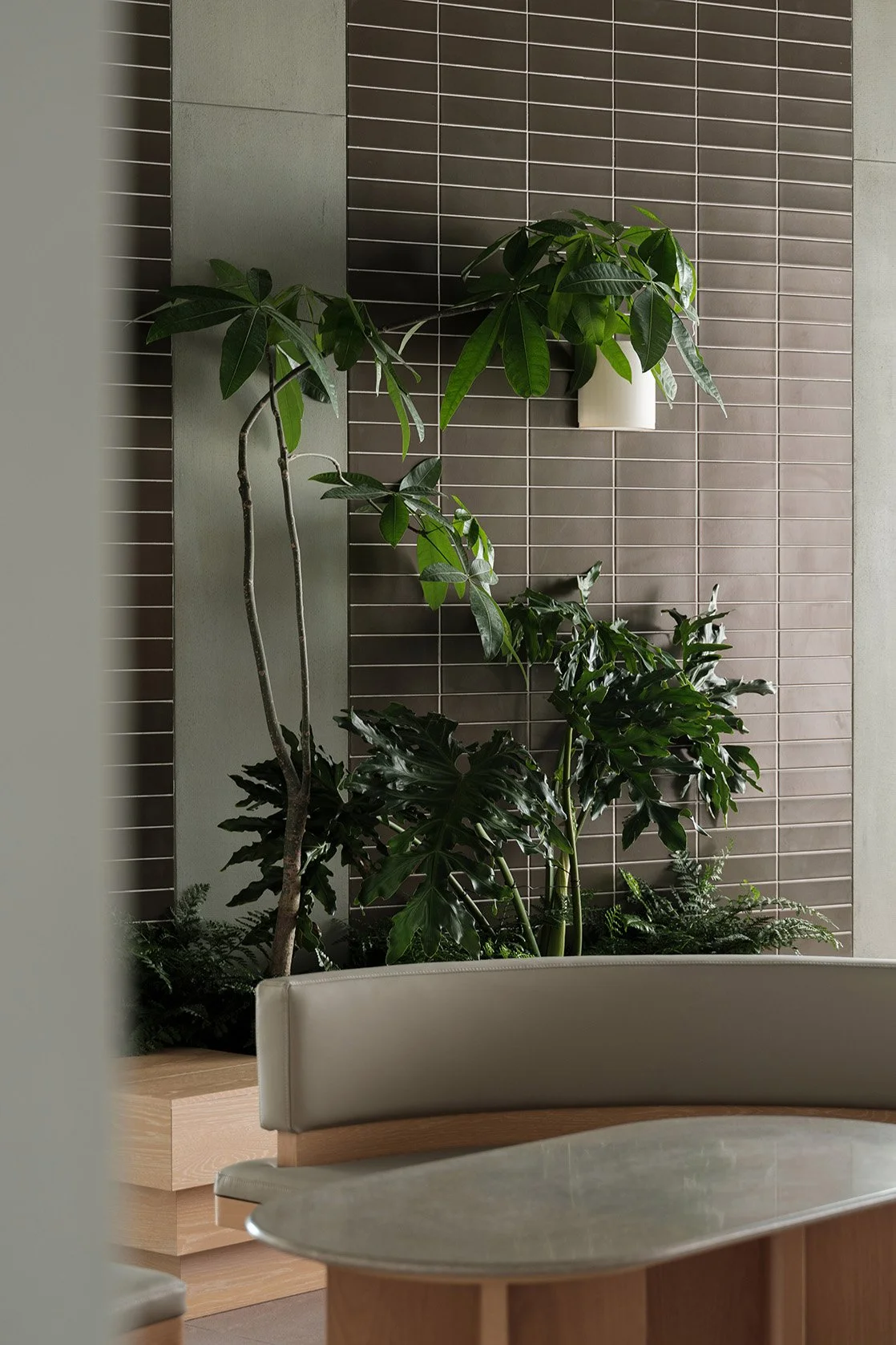 Basao Office - Neutra Architects 6.jpg