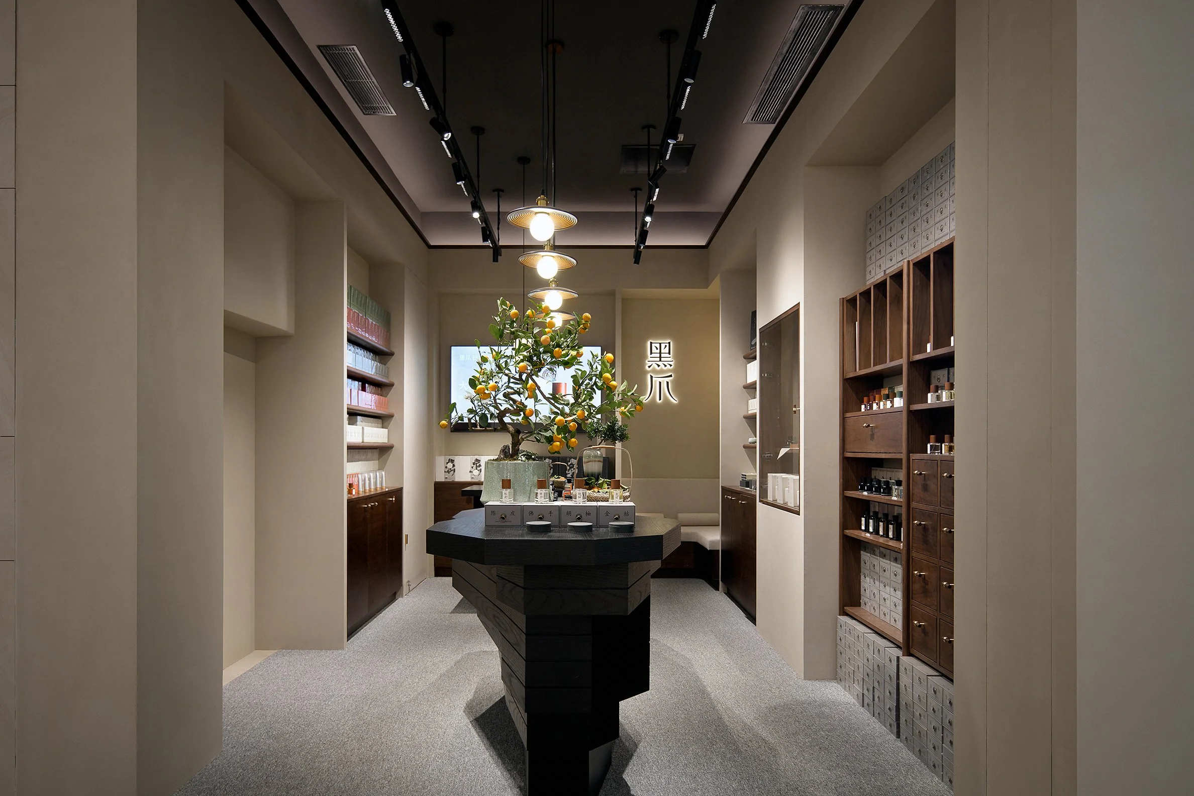 Black Paw SZ - Neutra Architects 4.jpg