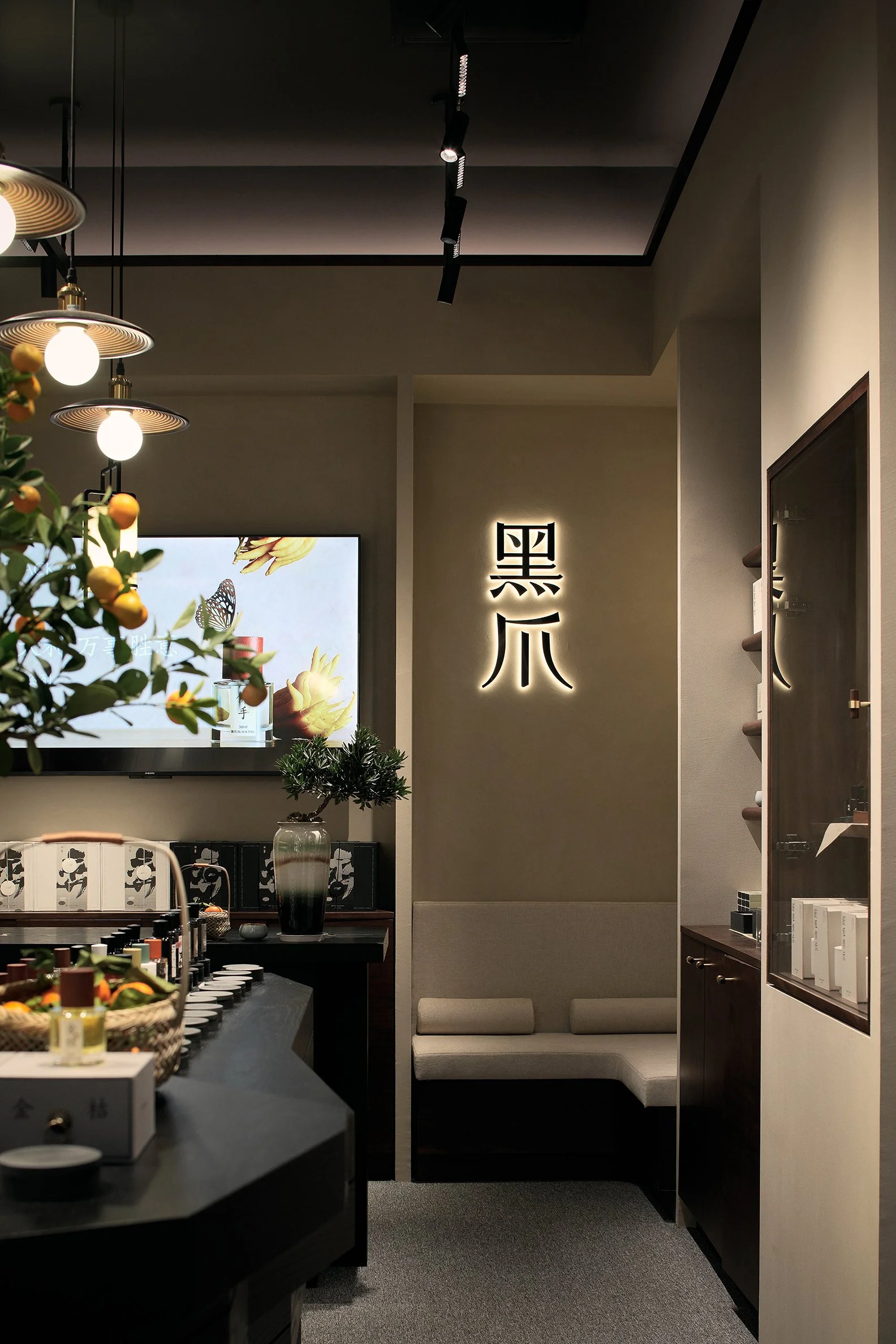 Black Paw SZ - Neutra Architects 12.jpg