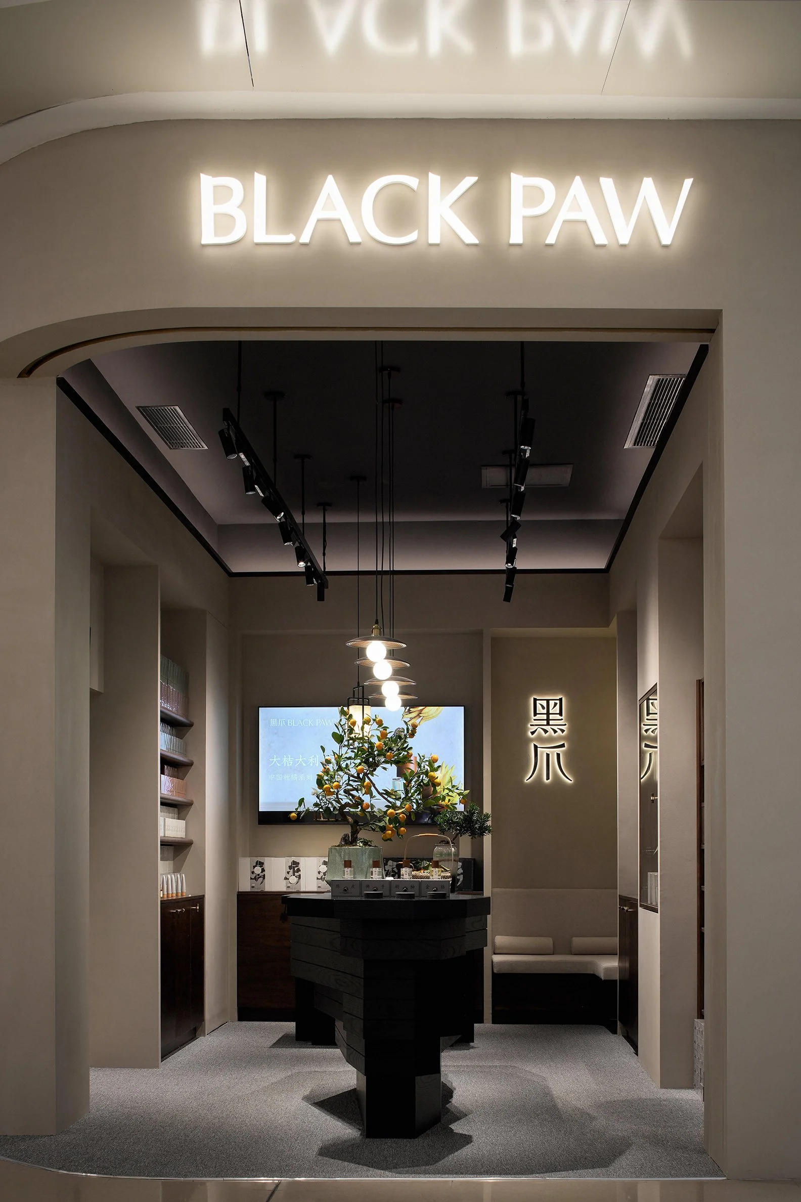 Black Paw SZ - Neutra Architects 17.jpg