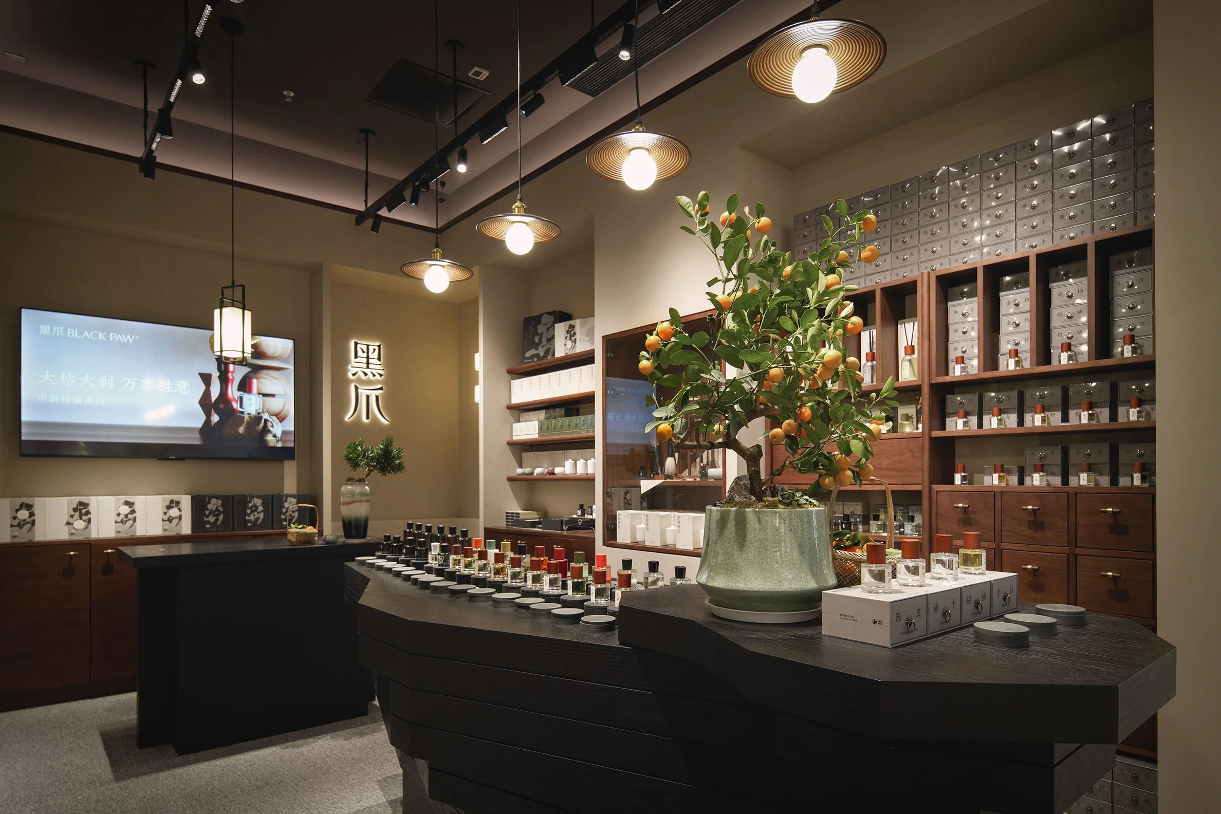 Black Paw SZ - Neutra Architects 6.jpg