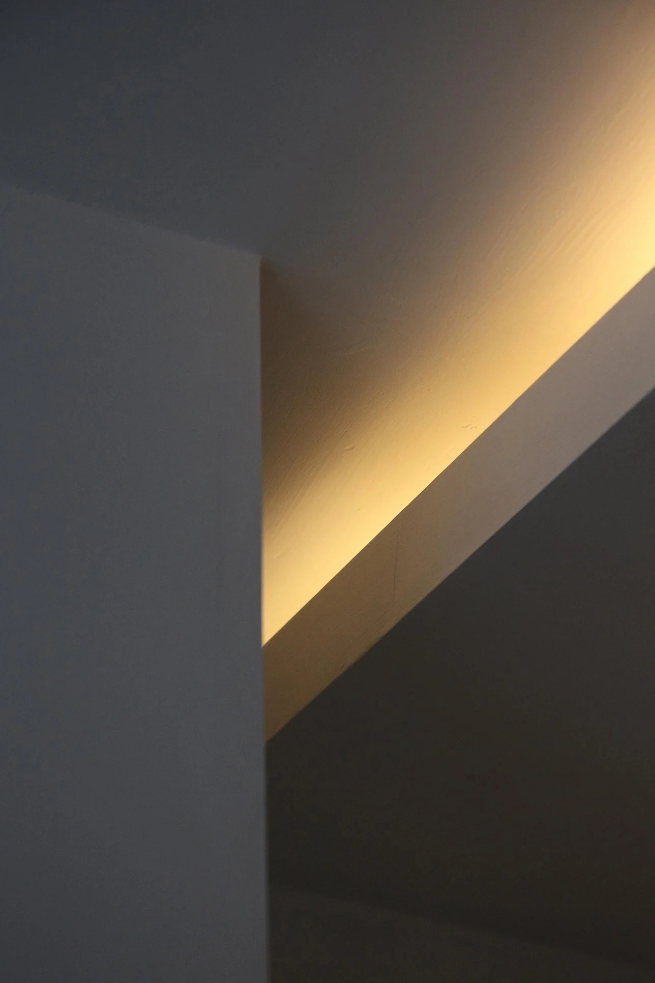 Apartment Wu - Neutra Architects 20.jpg