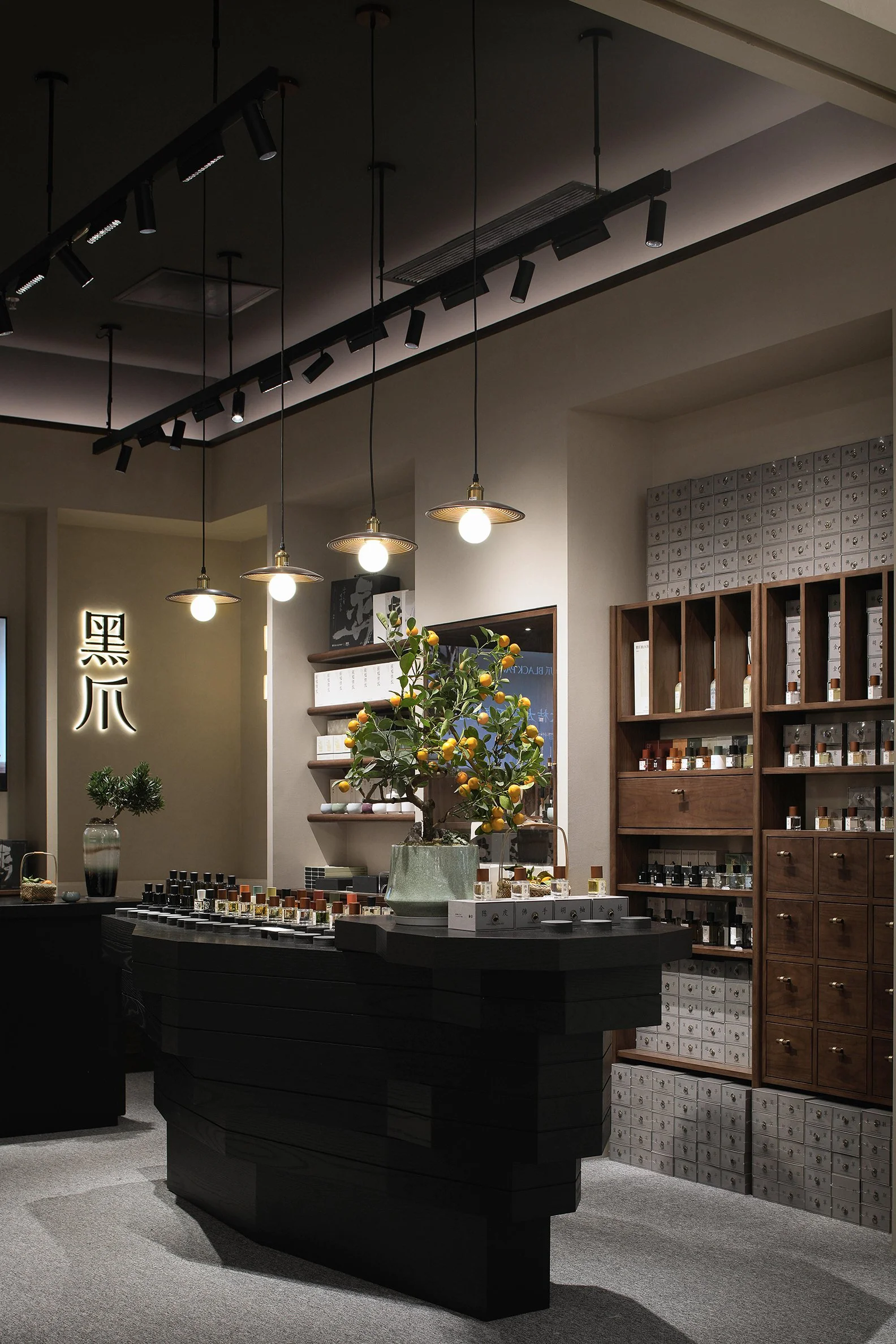 Black Paw SZ - Neutra Architects 2.jpg