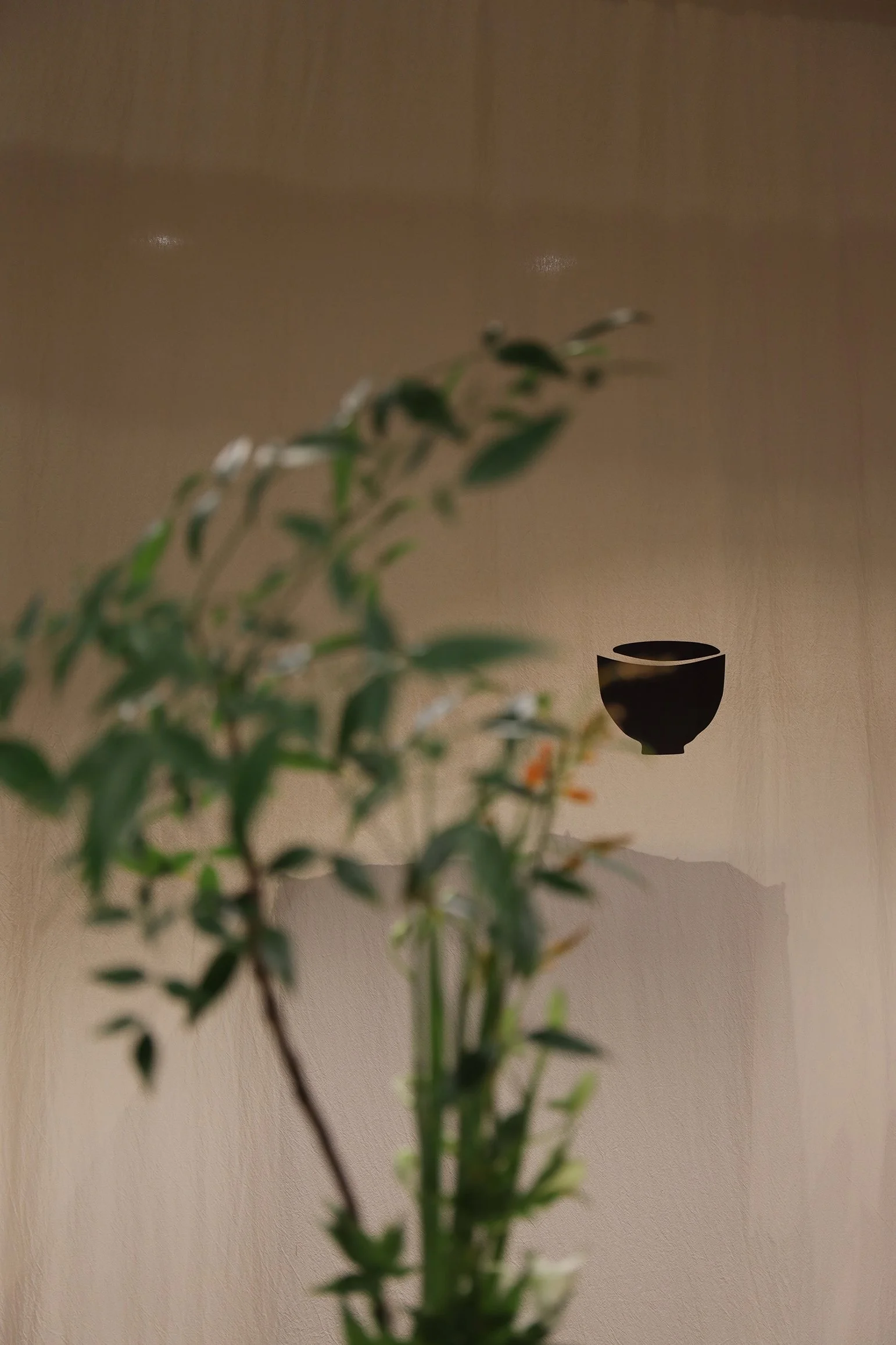 Tea Bar Popup - Neutra Architects 014.jpg