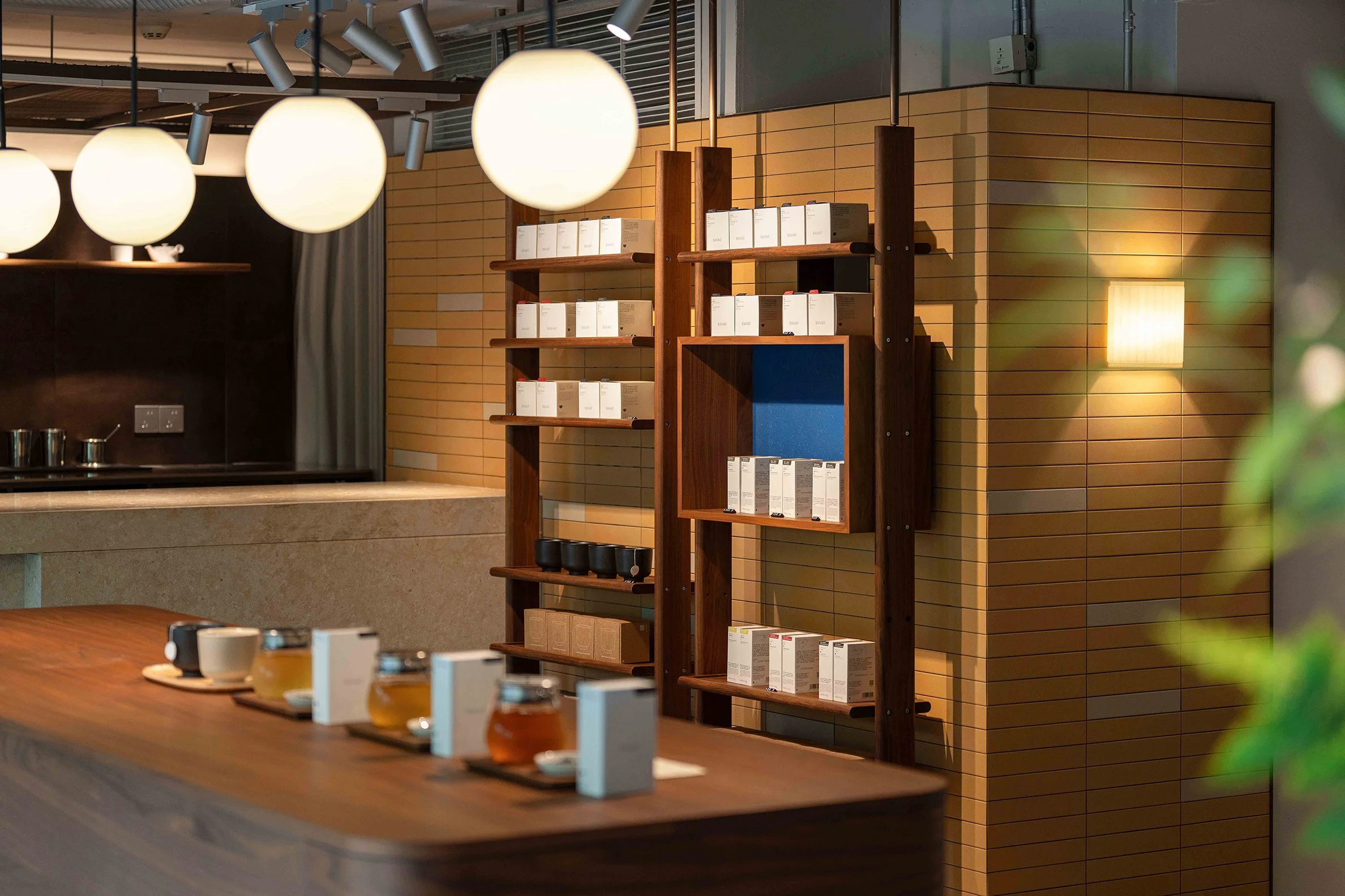 Basao HAI550 - Neutra Architects 1.jpg