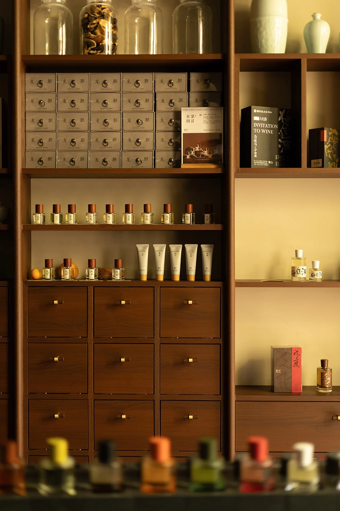 Black Paw SH - Neutra Architects 18.jpg