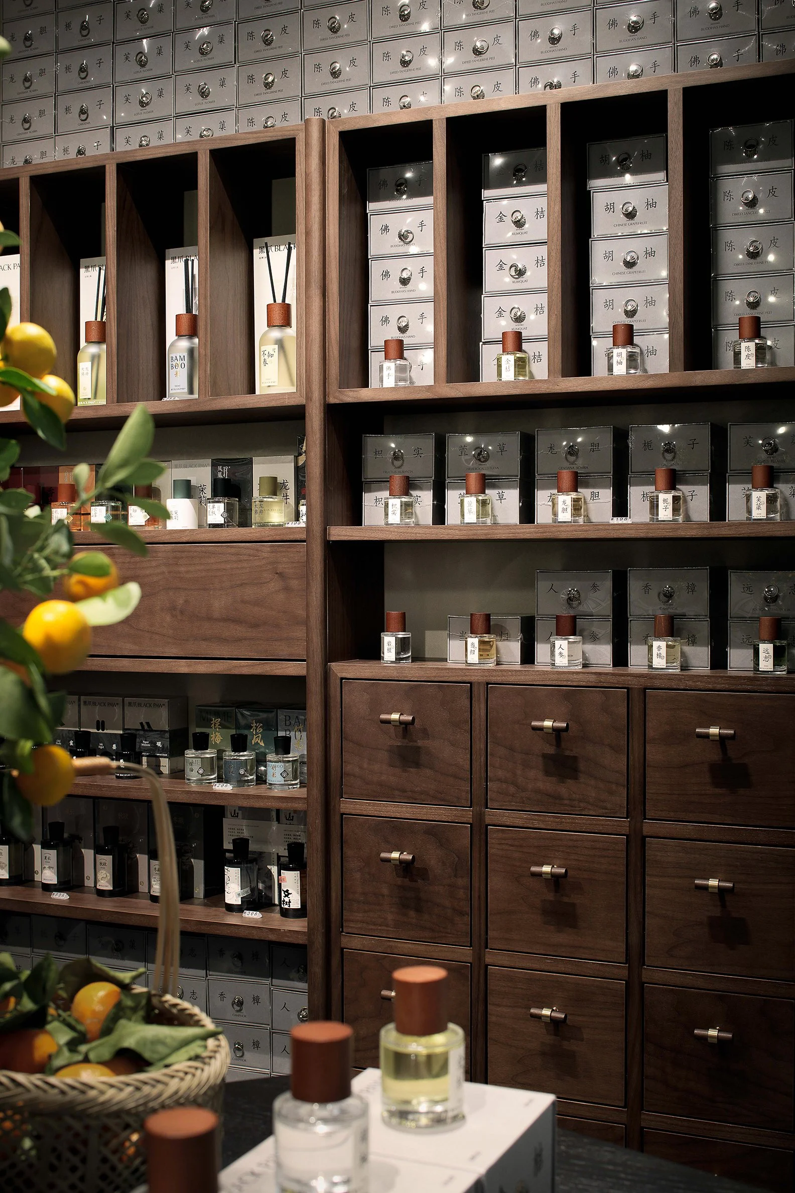 Black Paw SZ - Neutra Architects 14.jpg