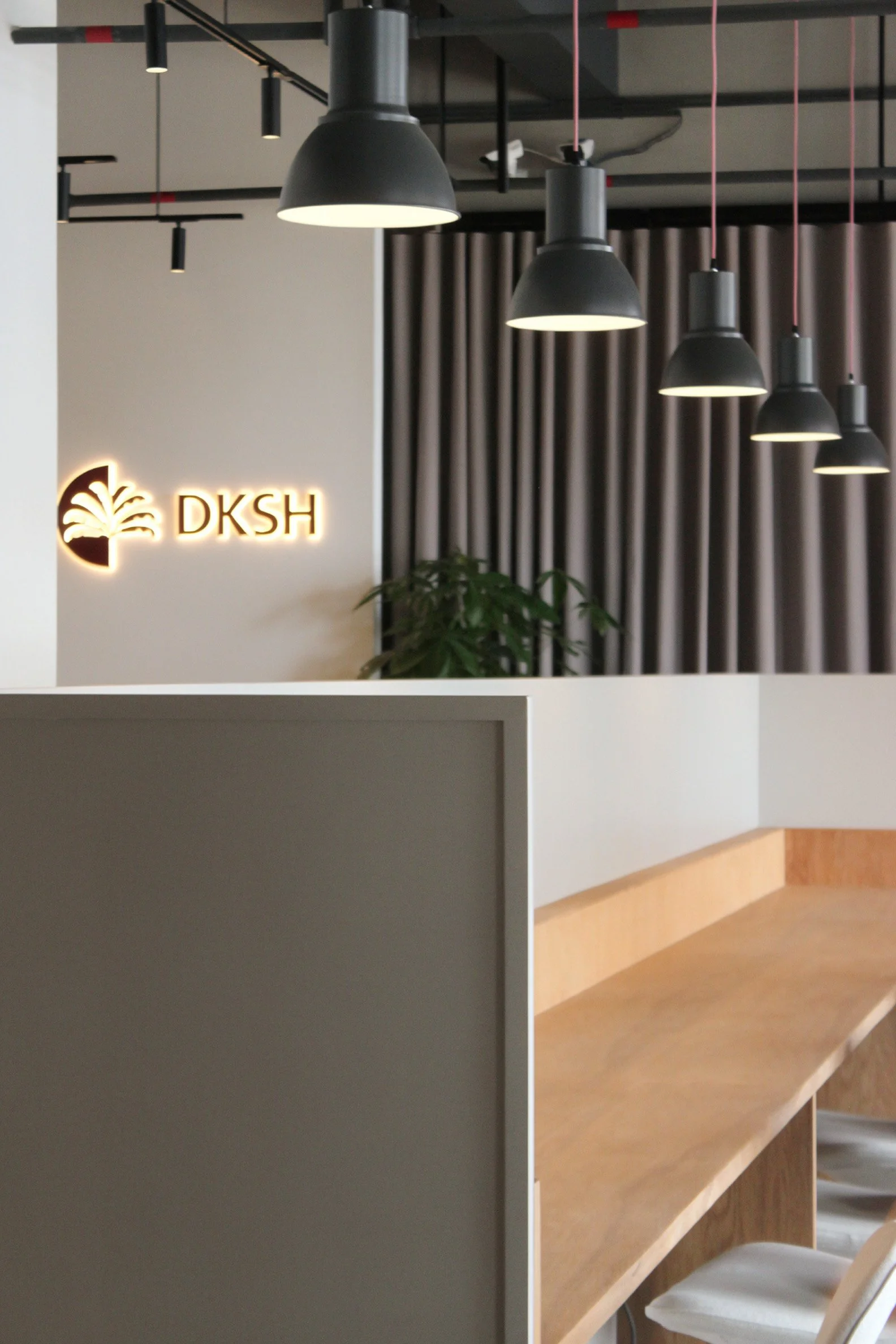 DKSH 56.jpg