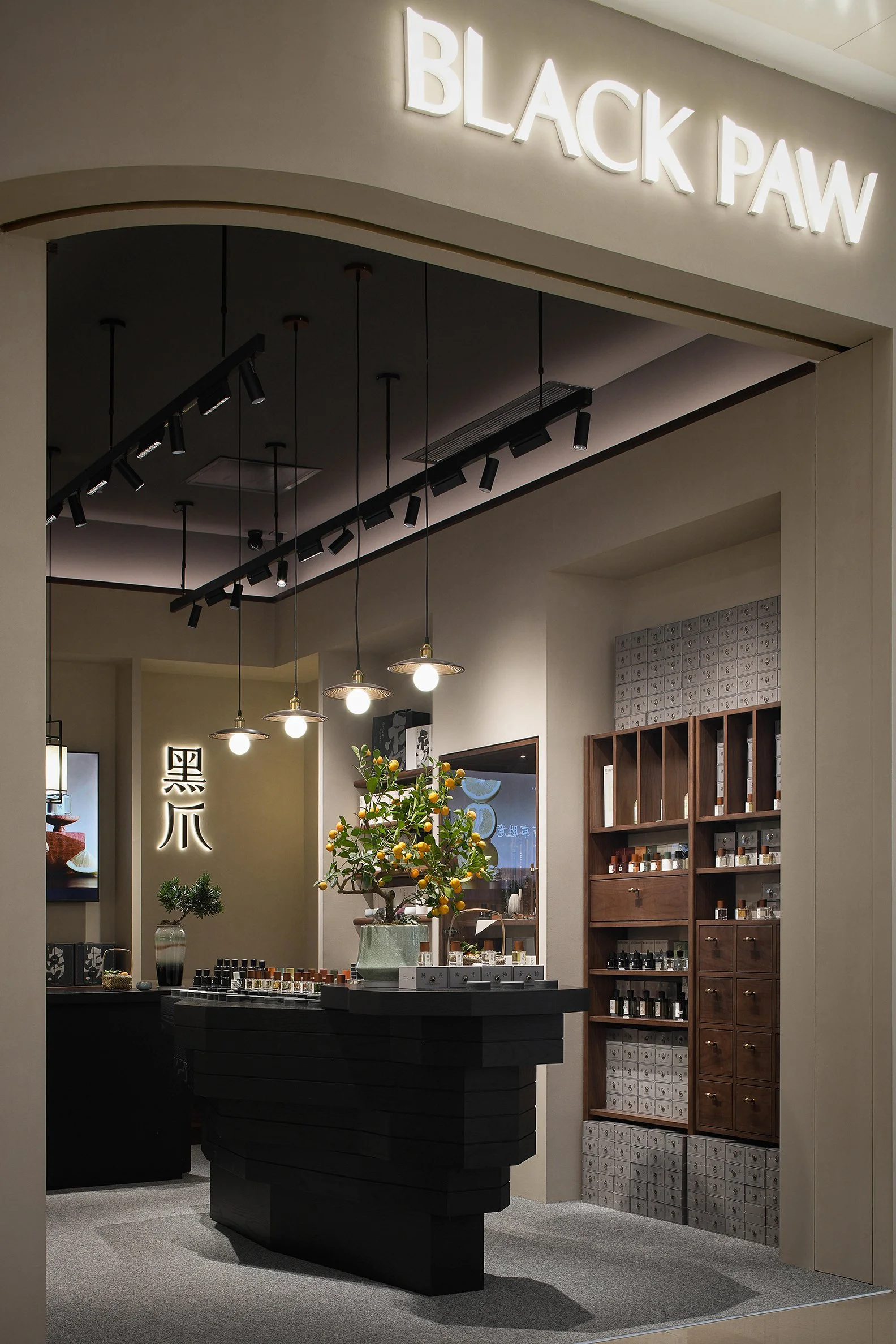 Black Paw SZ - Neutra Architects 1.jpg