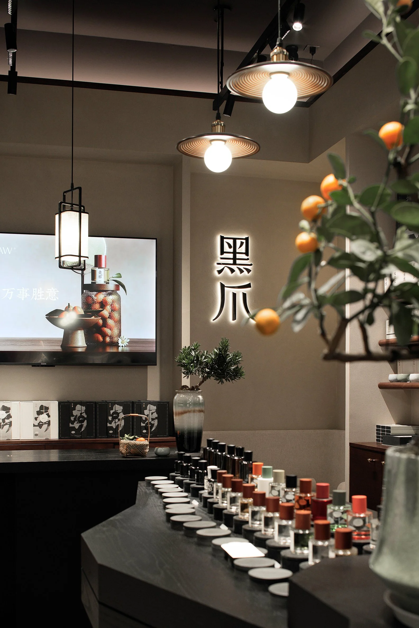 Black Paw SZ - Neutra Architects 11.jpg