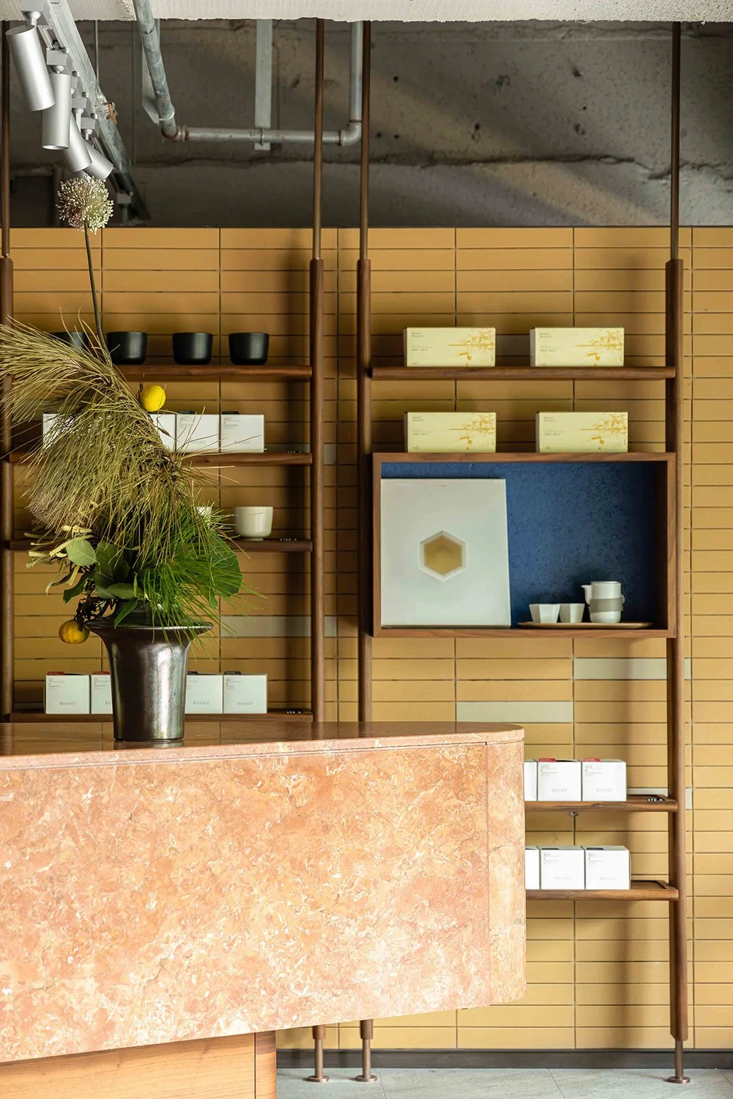 Basao HAI550 - Neutra Architects 11.jpg