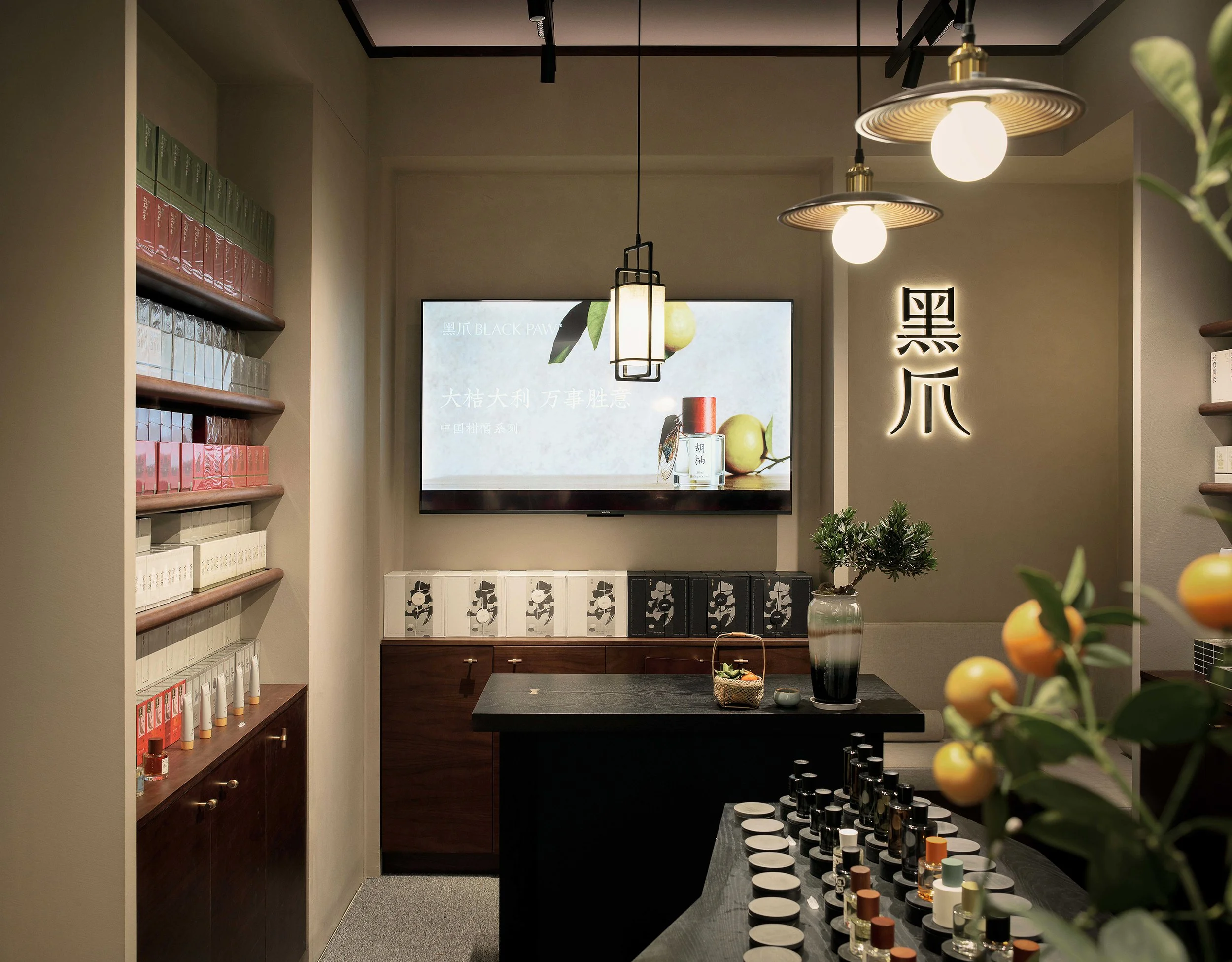 Black Paw SZ - Neutra Architects 7.jpg