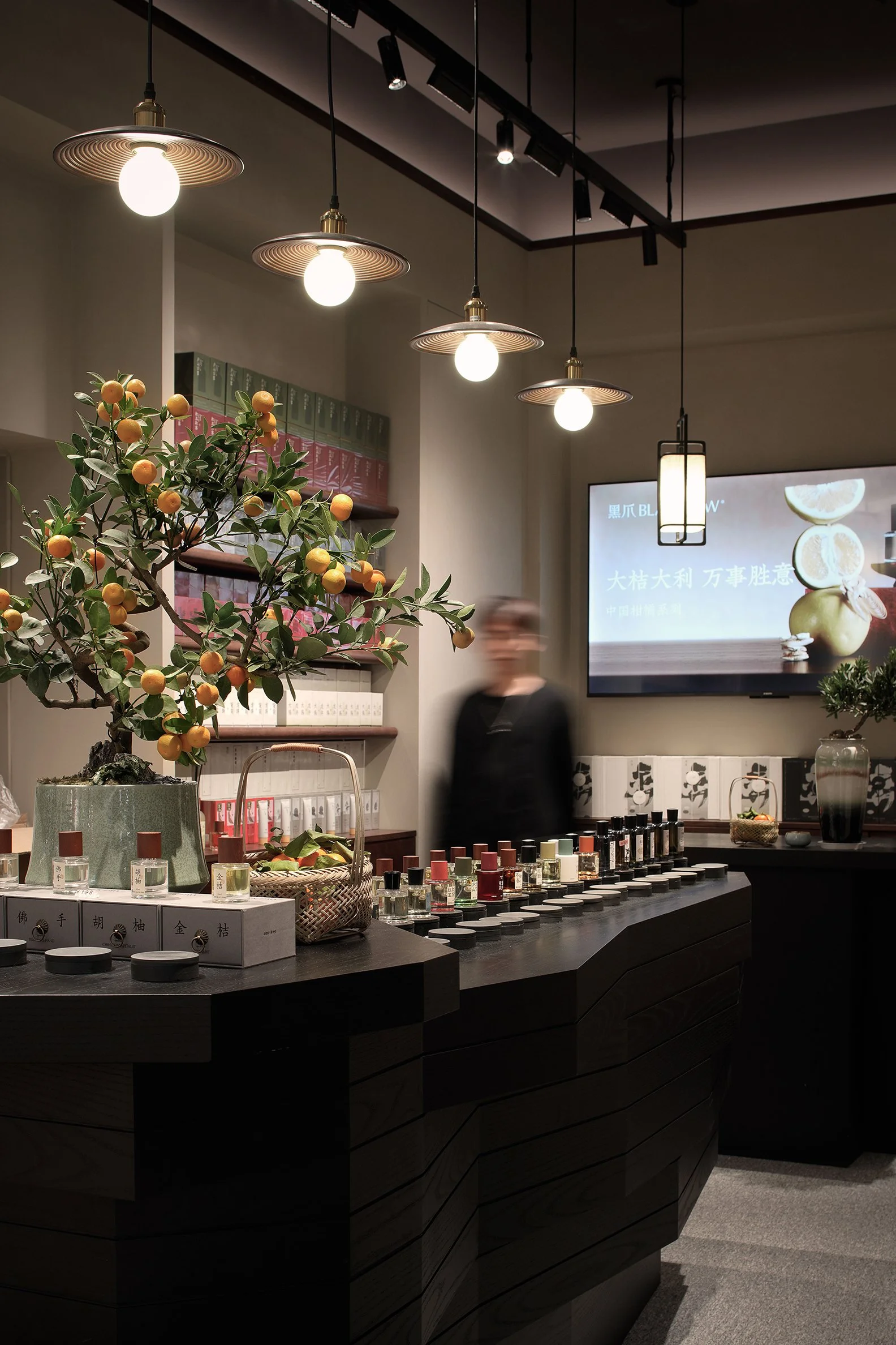 Black Paw SZ - Neutra Architects 3.jpg