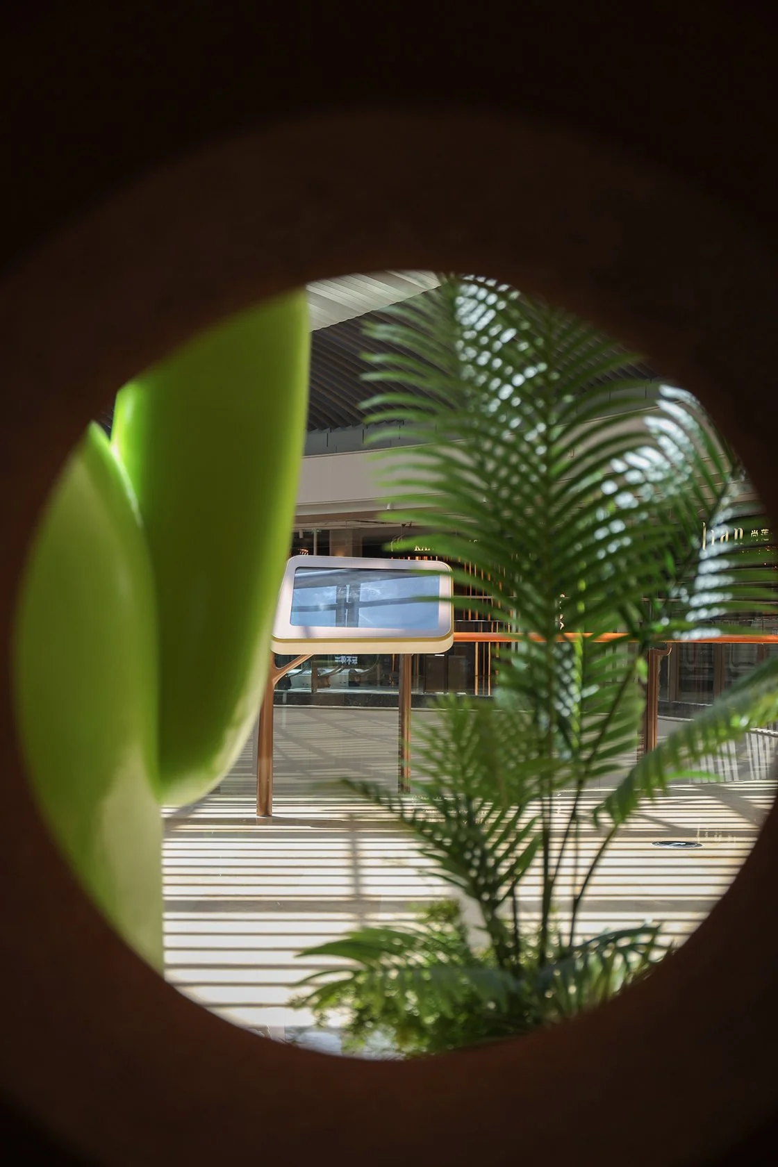 HunJuice SH - Neutra Architects 11.jpg