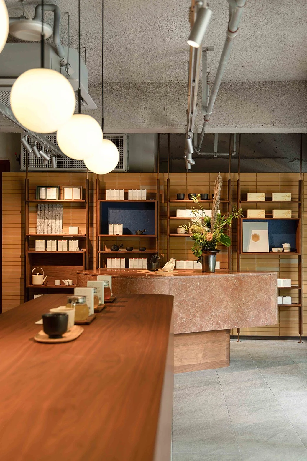 Basao HAI550 - Neutra Architects 10.jpg