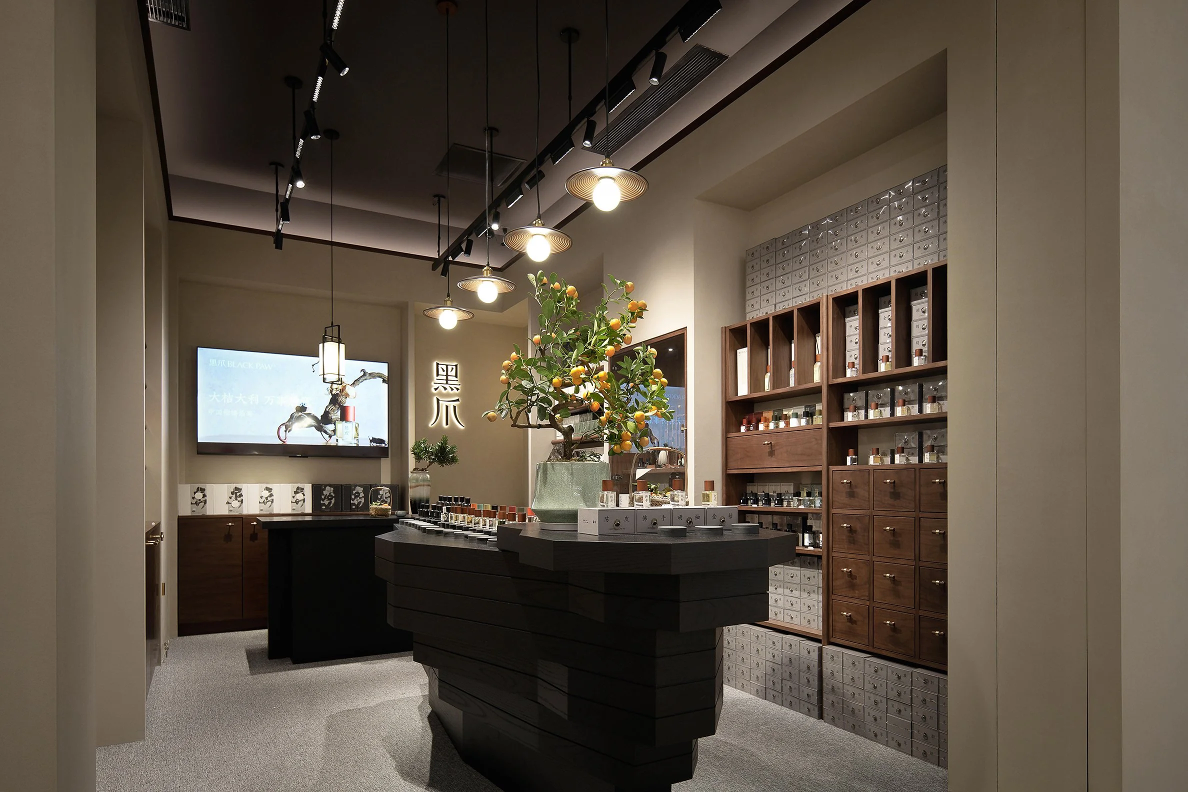 Black Paw SZ - Neutra Architects 5.jpg