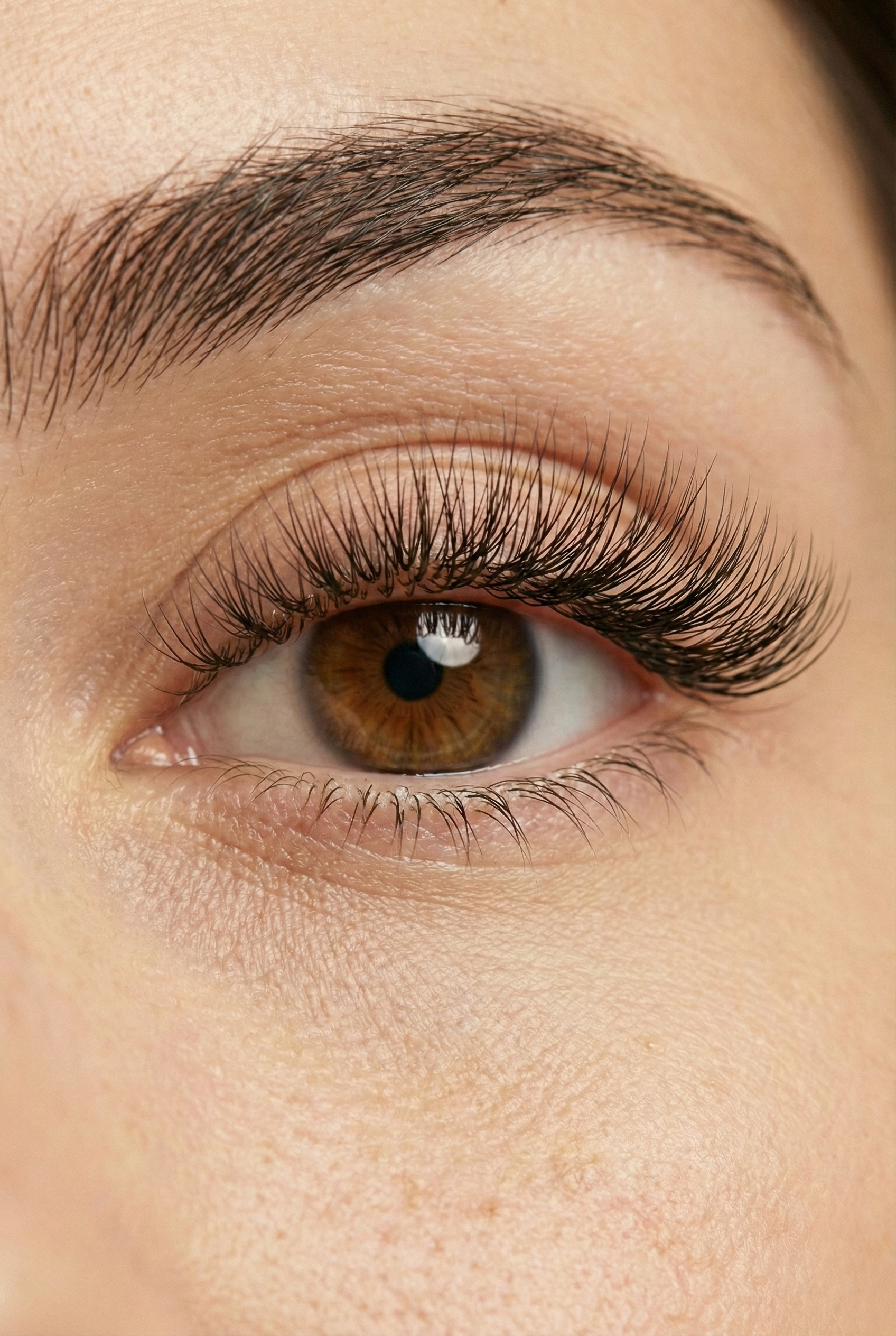 Close-up of a brown eye with long, curled eyelashes and well-groomed eyebrows.
