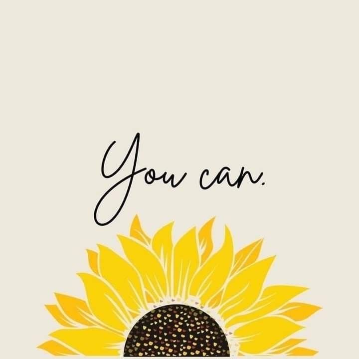 Anxiety & Emotional Regulation Support