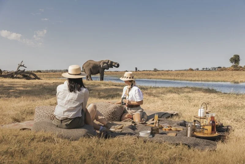 Picnic with Elephants, Botswana