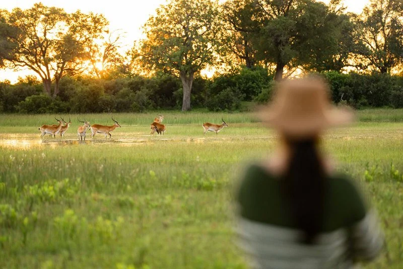 Guests Watching Game, Lodge, Botswan