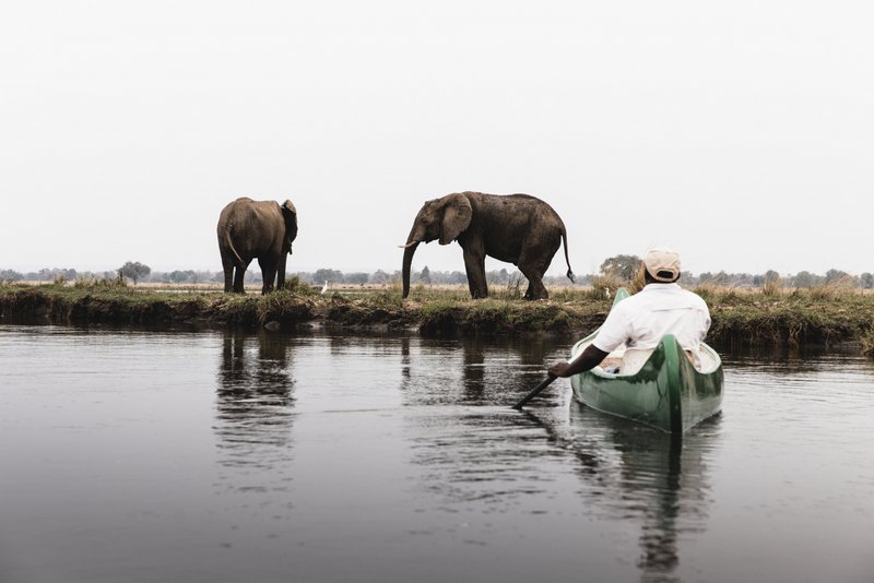 Canoe Safari with Elephant, Mana Pools National Park, Zimbabwe