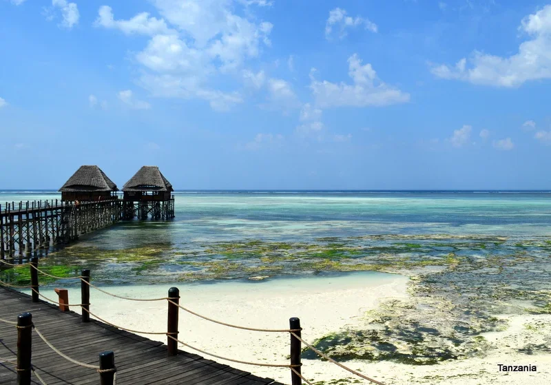 Lodge restaurant at the end of a jetty in the Indian Ocean, Zanzibar, Tanzania.