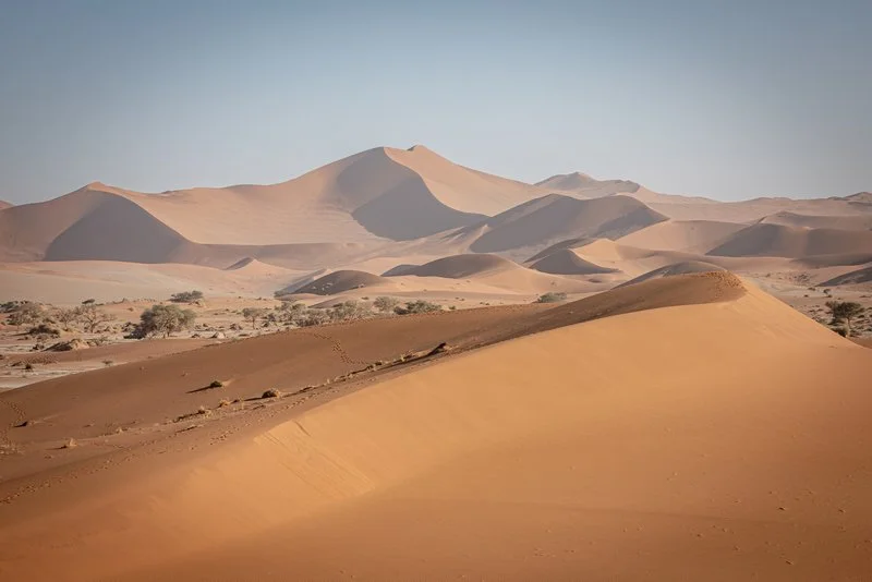 Desert Dune Landscape, Namibia