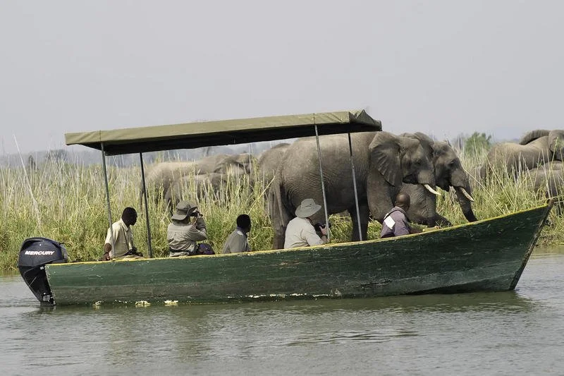 Watching elephants from a boat on the Shire River, Liwonde National Park, Malawi