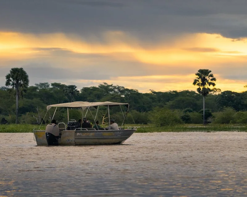 Sunset boat safari on the waterways of Liwonde National Park, Malawi