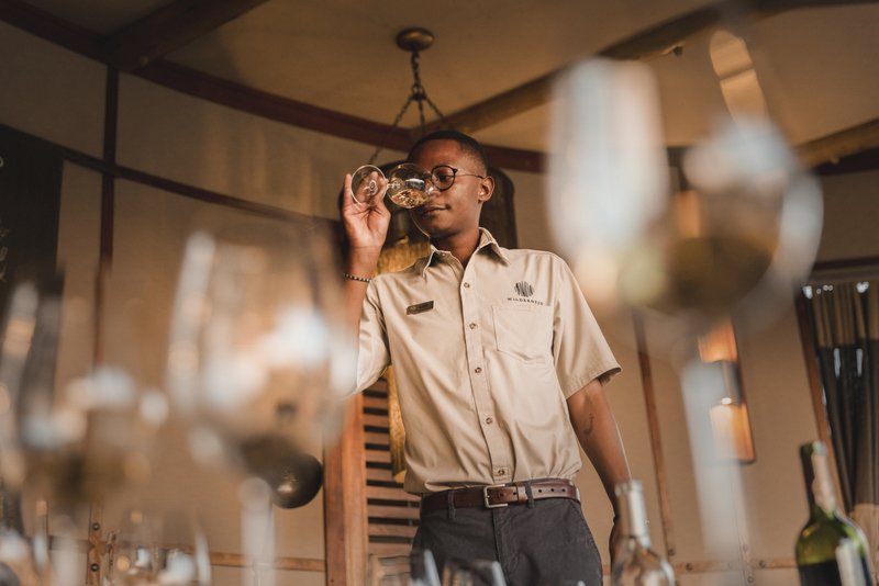 Wine Tasting, Wine Region, Cape Town, South Africa