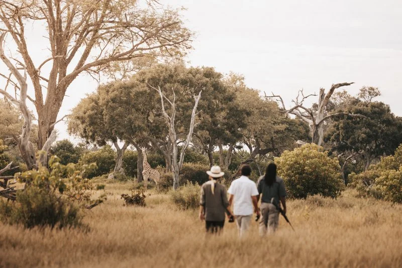 Young professional couple on an intimate guided game walk led by a guide through the African bush