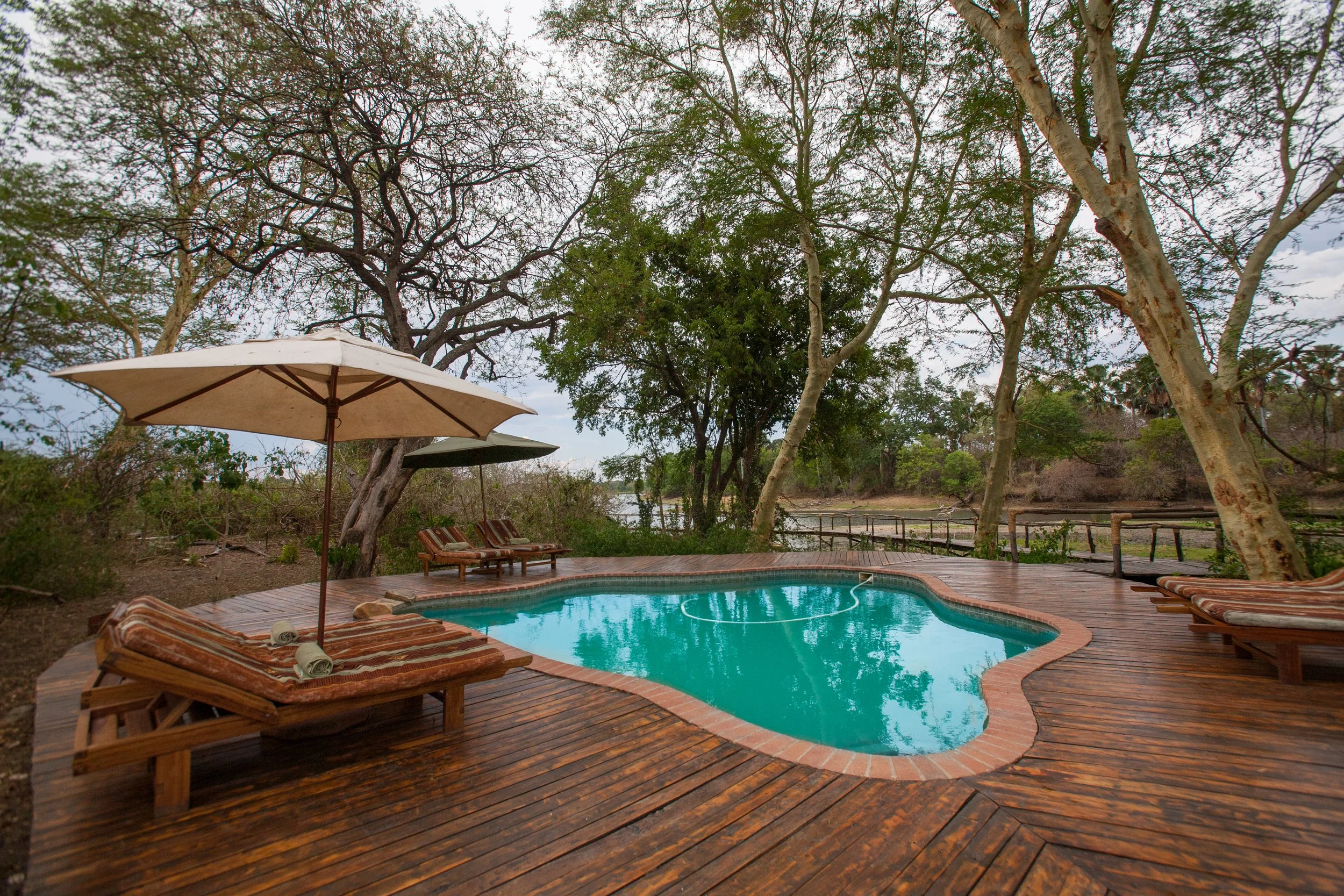 Lodge swimming pool nestled under fever trees in Liwonde National Park, Malawi