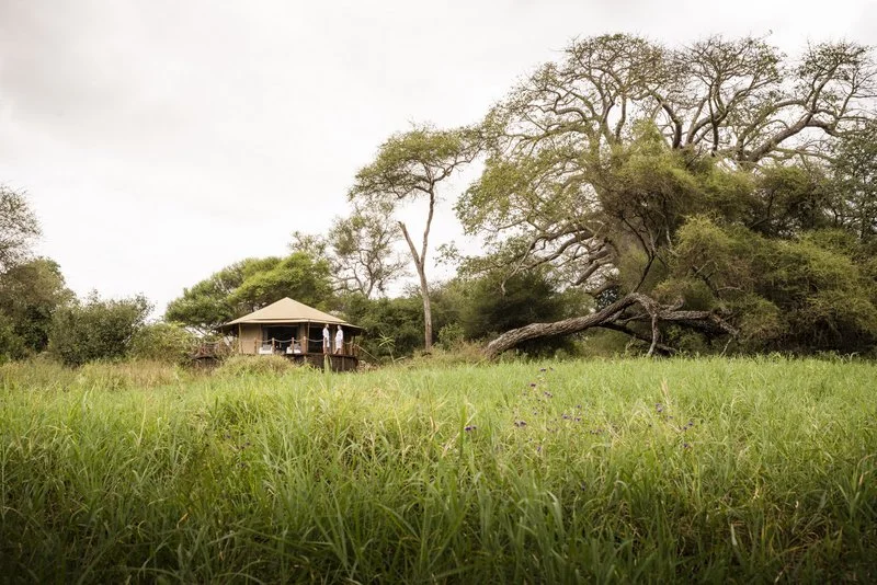 Lodge room nestled seamlessly into the natural surroundings of Tarangire National Park, Tanzania
