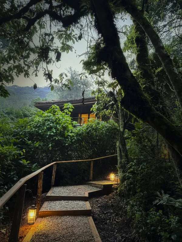 Beautiful Rainforest Lodge, Virunga Massif, Uganda