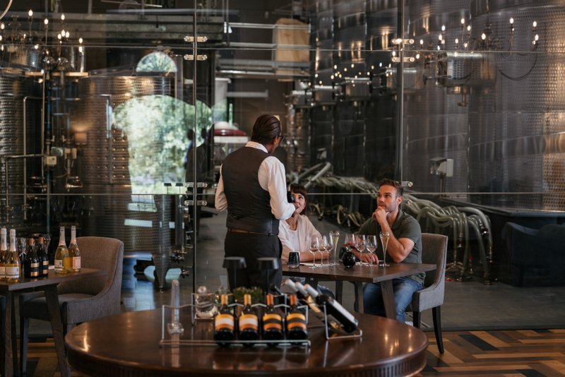 Wine Tasting, Wine Region, Cape Town, South Africa