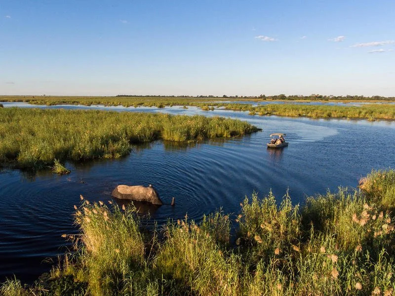 Adventurous guests on an African boat safari slowing down for a submerged elephant in the river ahead