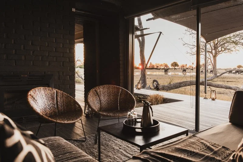 Elephants from Lodge Lounge, Zimbabwe