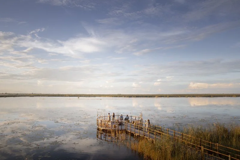 Jetty and Viewing Deck, Lodge, Botswana